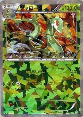 Grande Carte EX Pokemon / Rayquaza/ carte collection