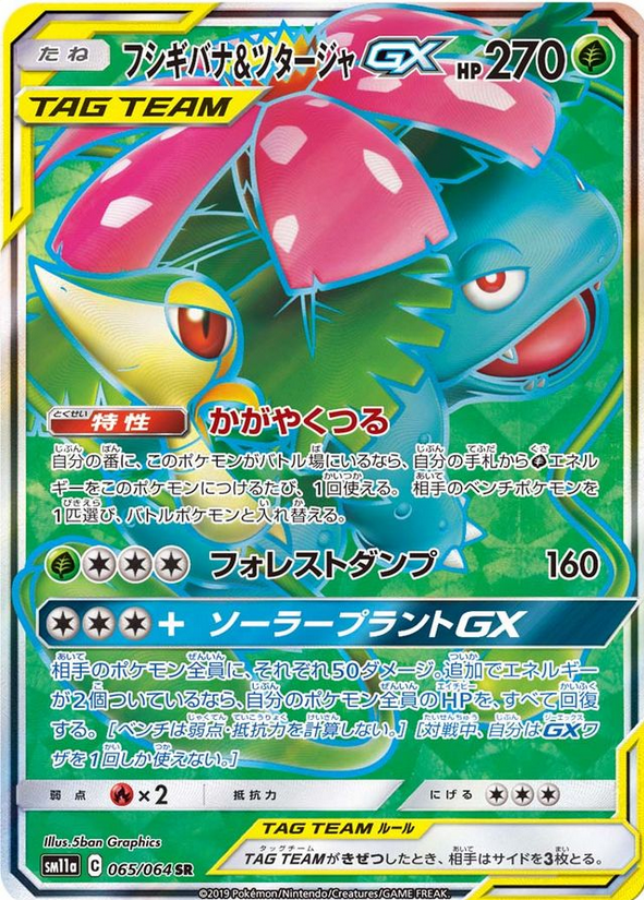 Carte Pokémon SM11a 065/064 Florizzare & Vipélierre GX