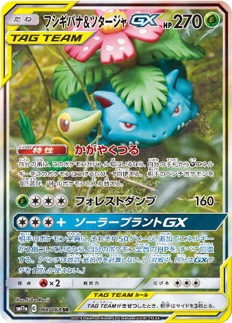 Carte Pokémon SM11a 066/064 Florizzare & Vipélierre GX