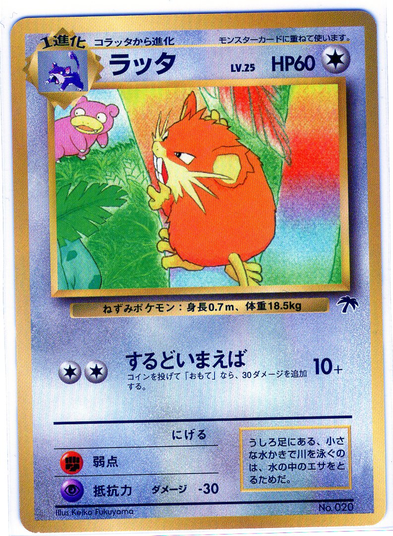 Carte Pokémon Southern Island Promo 020 – JapanTCG
