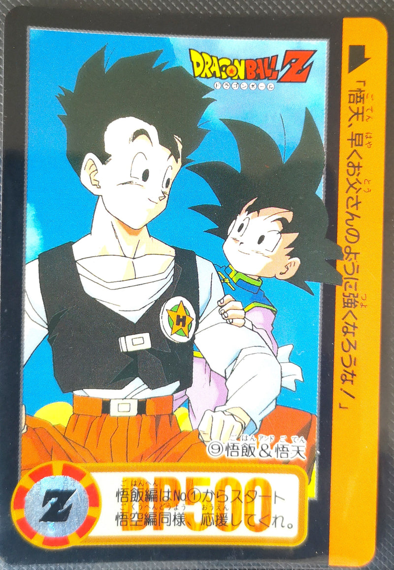 Carte Dragon Ball Z Hondan 009