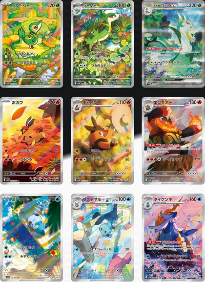 Display Pokémon Scarlet & Violet SV11B Black Bolt