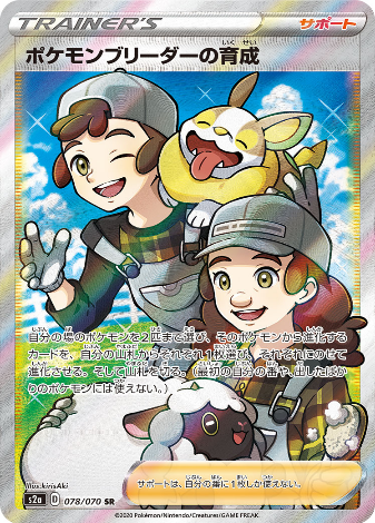 Carte Pokémon S2a 078/070 Soins de l&