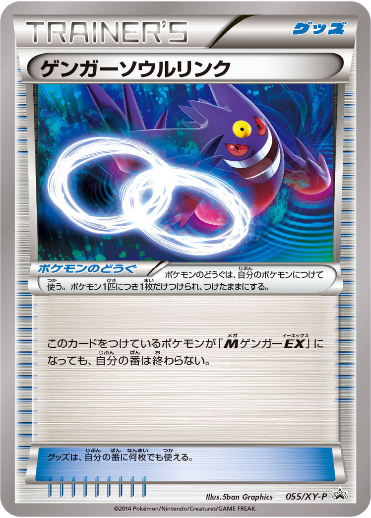 Carte Pokémon 055/XY-P