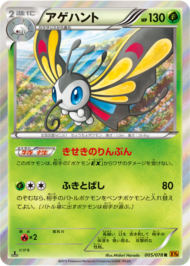 Carte Pokémon XY6 005/078