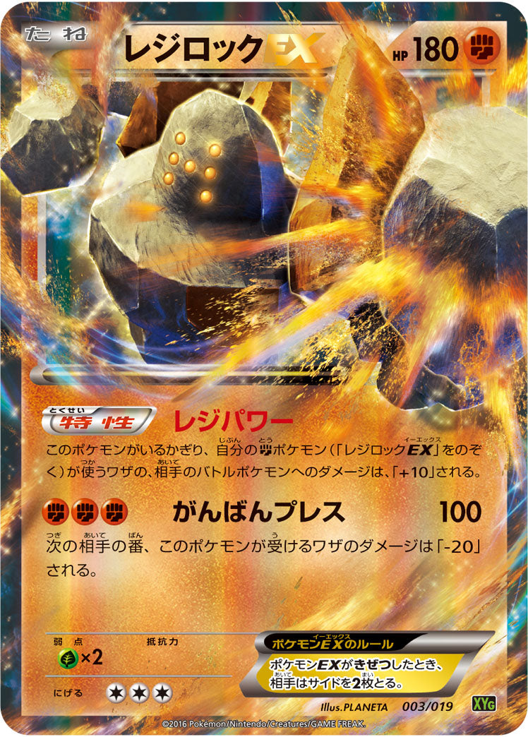 Pokemon Card XYg 003/019