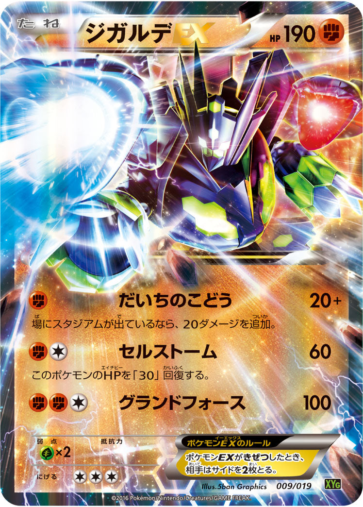 Pokemon Card XYg 009/019