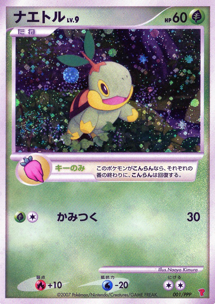 Pokemon Card 001/PPP